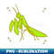 Praying Mantis Funny - Animated Mantis - Sublimation-Ready PNG File