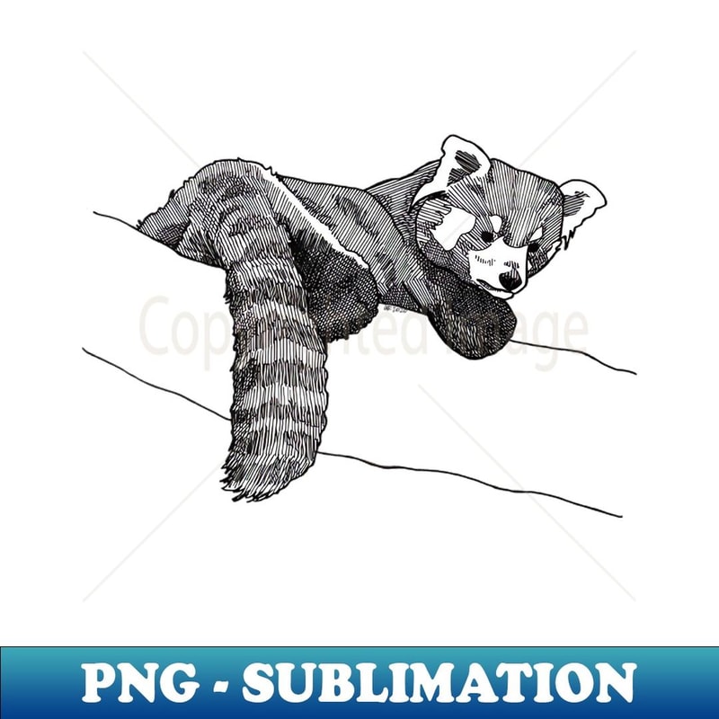 Hang in There - PNG Transparent Digital Download File for Sublimation