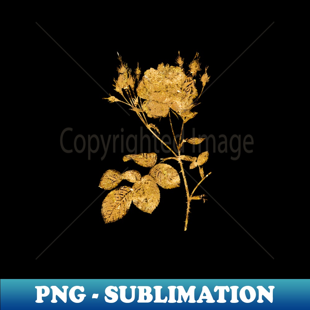 Vintage Gilded Pink Cumberland Rose Botanical Gold Leaf - Retro PNG Sublimation Digital Download