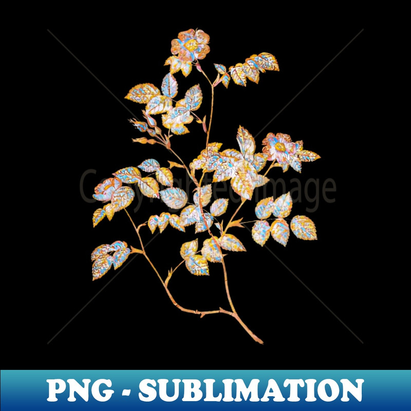 Gold Prism Mosaic Blooming Sweetbriar Rose Botanical Illustration - Signature Sublimation PNG File