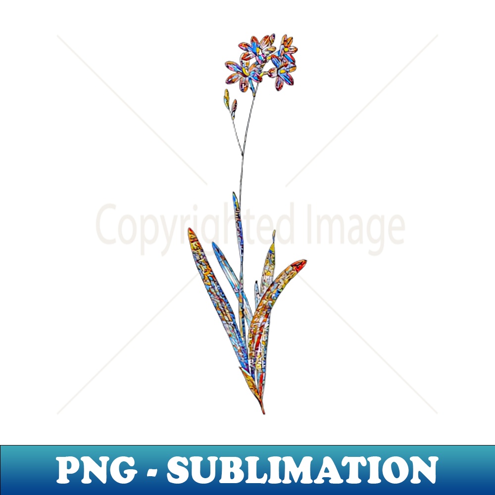 Stained Glass Corn Lily Botanical Illustration - Elegant Sublimation PNG Download