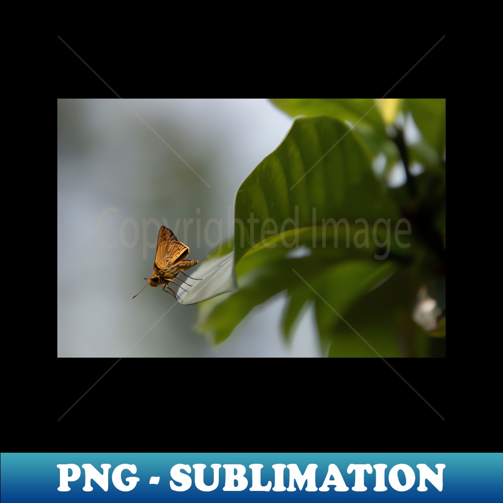 Butterfly on leaf - Exclusive Sublimation Digital File