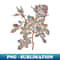 Stained Glass Dwarf Damask Rose Botanical Illustration - Modern Sublimation PNG File