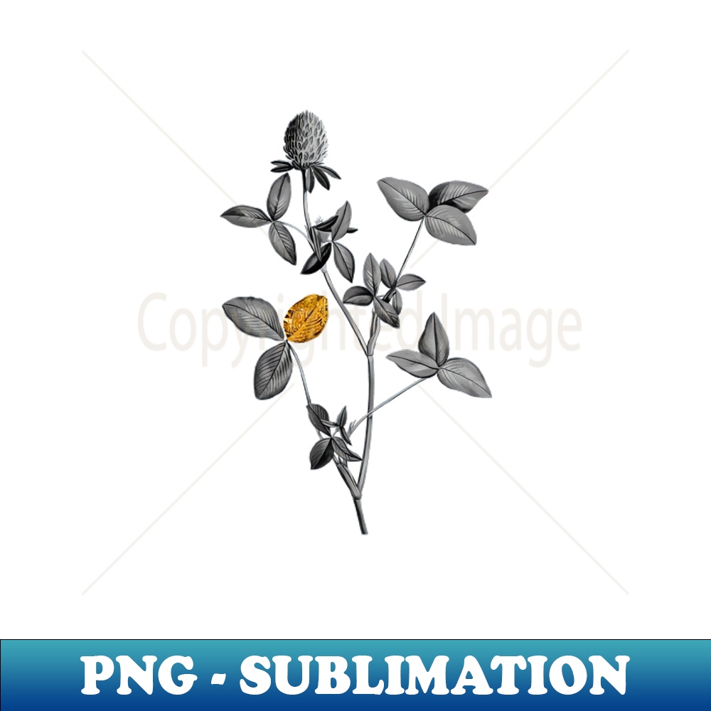 Black and Gold Leaf - Blooming Pink Clover - Vintage Botanical - Retro PNG Sublimation Digital Download
