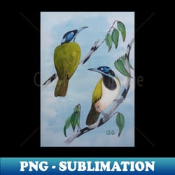 australian blue-faced honey eaters - artistic sublimation digital file