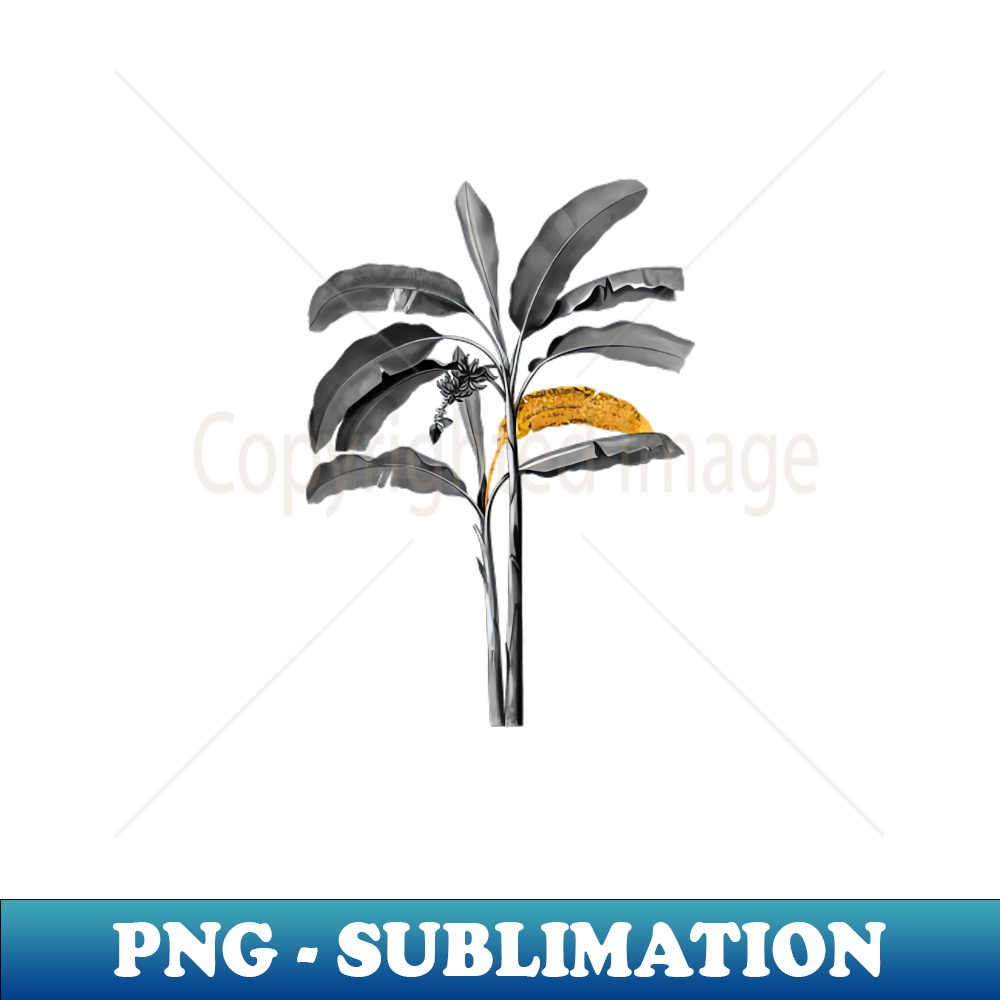 Black and Gold Leaf - Banana Tree - Vintage Botanical - PNG Transparent Sublimation File
