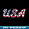 USA Flag United States Flag Letters Patriotic - Vintage Sublimation PNG Download