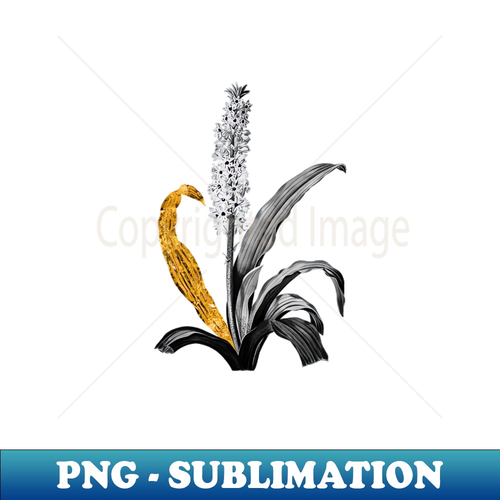Black and Gold Leaf - Eucomis Punctata - Vintage Botanical - Premium Sublimation Digital Download