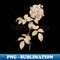 Gold Prism Mosaic Seven Sisters Roses Botanical Illustration - Instant Sublimation Digital Download