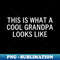 This Is What A Cool GrandPa Looks Like, Sarcastic, Funny - Special Edition Sublimation PNG File