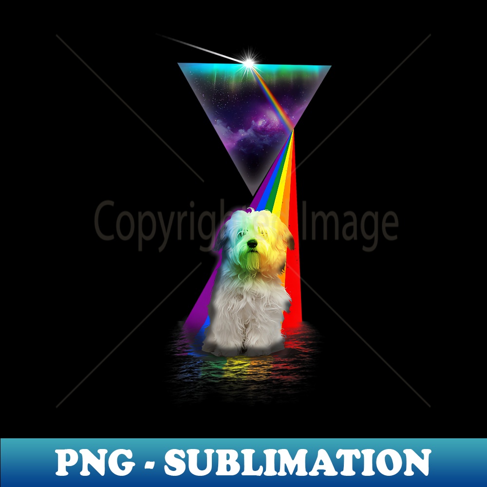 Vintage Retro Prism Coton De Tulear 1 - High-Resolution PNG Sublimation File