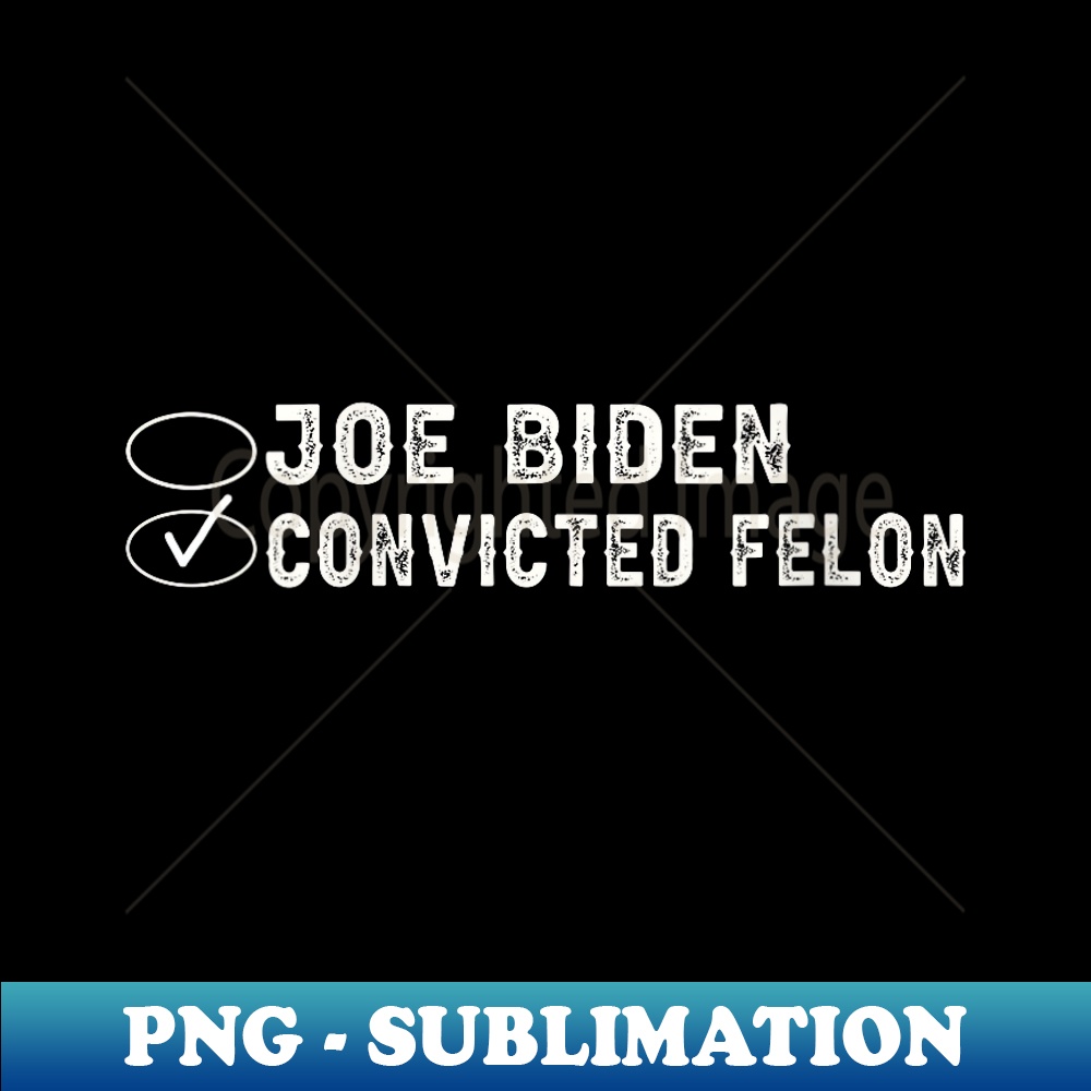 s Joe Biden Vs Convicted Felon Funny Ballot Paper Voting Humor - Stylish Sublimation Digital Download