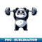 Cool panda barbell weightlifter fitness 0531.jpg