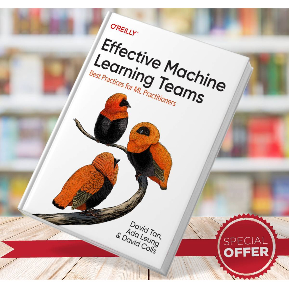 Effective Machine Learning Teams - David Tan.jpg