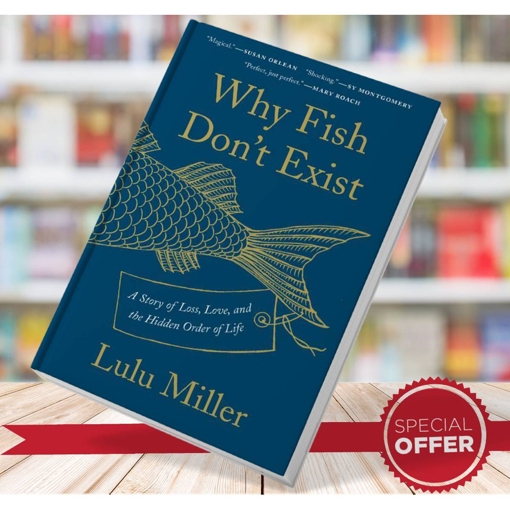 Why Fish Dont Exist A Story of Loss Love and the Hidden Order .jpg