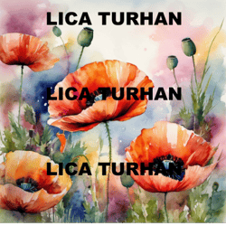 poppies watercolor background