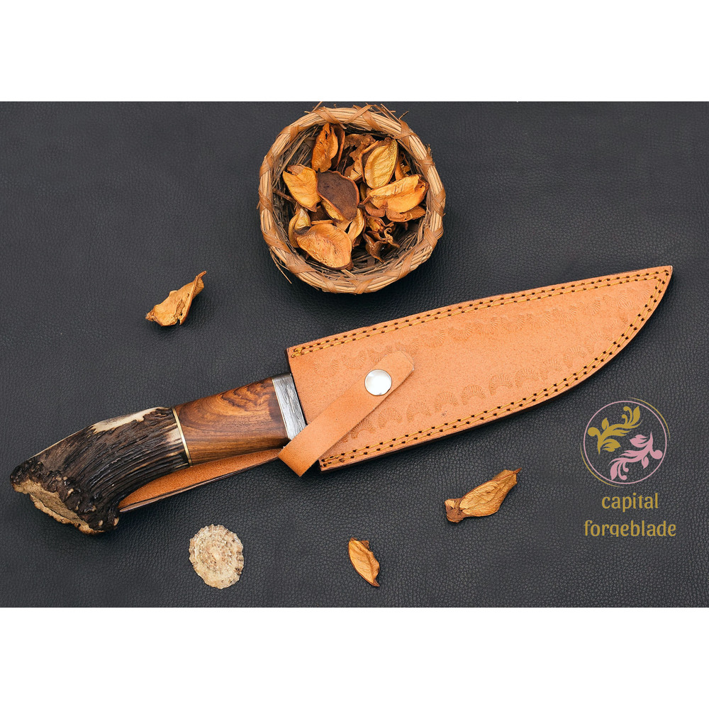 Camping Survival Knife.jpg