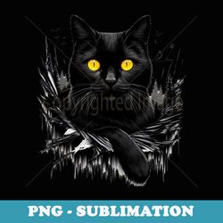 black cat torn cloth - black cat yellow eyes