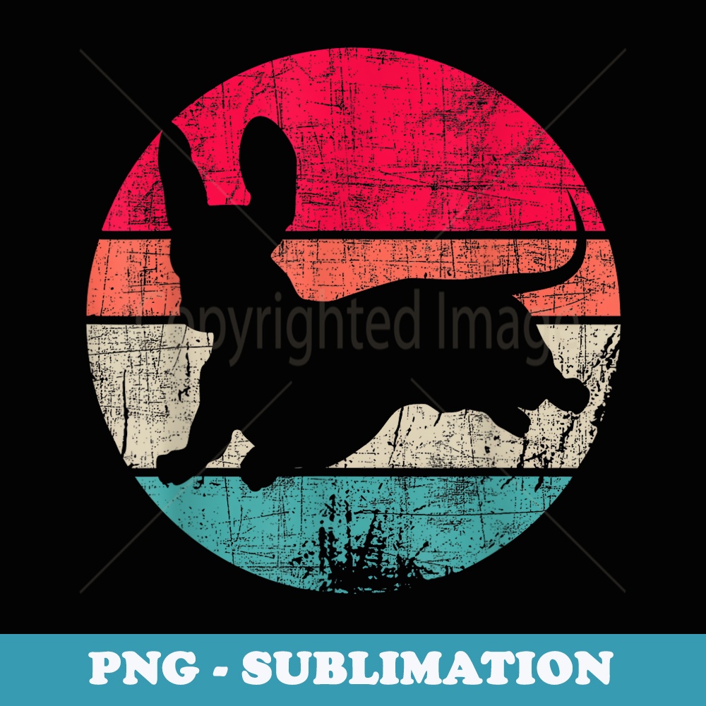 Retro Vintage Dachshund - Dog Trainer 60s 70s Animal Breeder - Creative Sublimation PNG Download