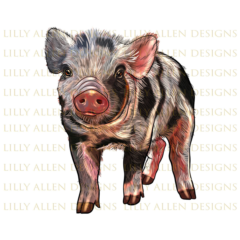 Baby Spotted Pig Png, Baby Pig Png Sublimation Design, Piglet Png,Hand Drawn Baby Pig Png,Barnyard Animals,Digital Download.jpg