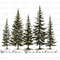 Winter Wonderland png, Winter Wonderland svg, Christmas Png, Winter Clipart, Merry Christmas png, Holiday png, Digital Download2.jpg