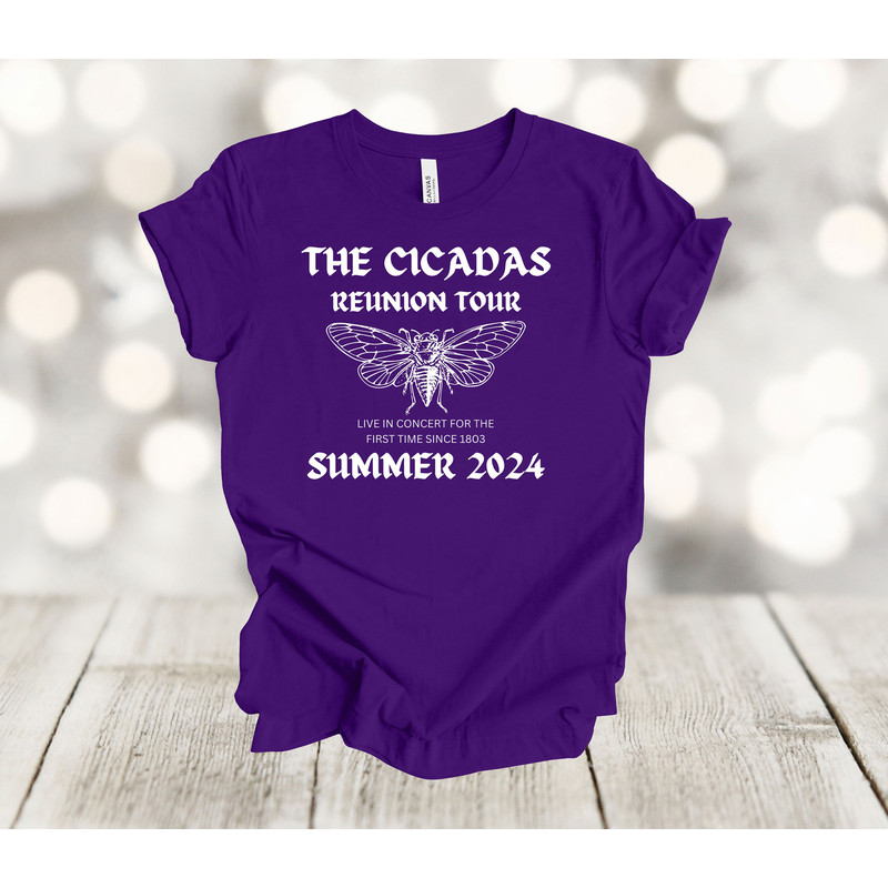 Cicada Shirt, The Cicadas Reunion Tour Summer 2024, Premium Soft Unisex Tee, Plus Size 2x, 3x, 4x Plus Sizes Available.jpg