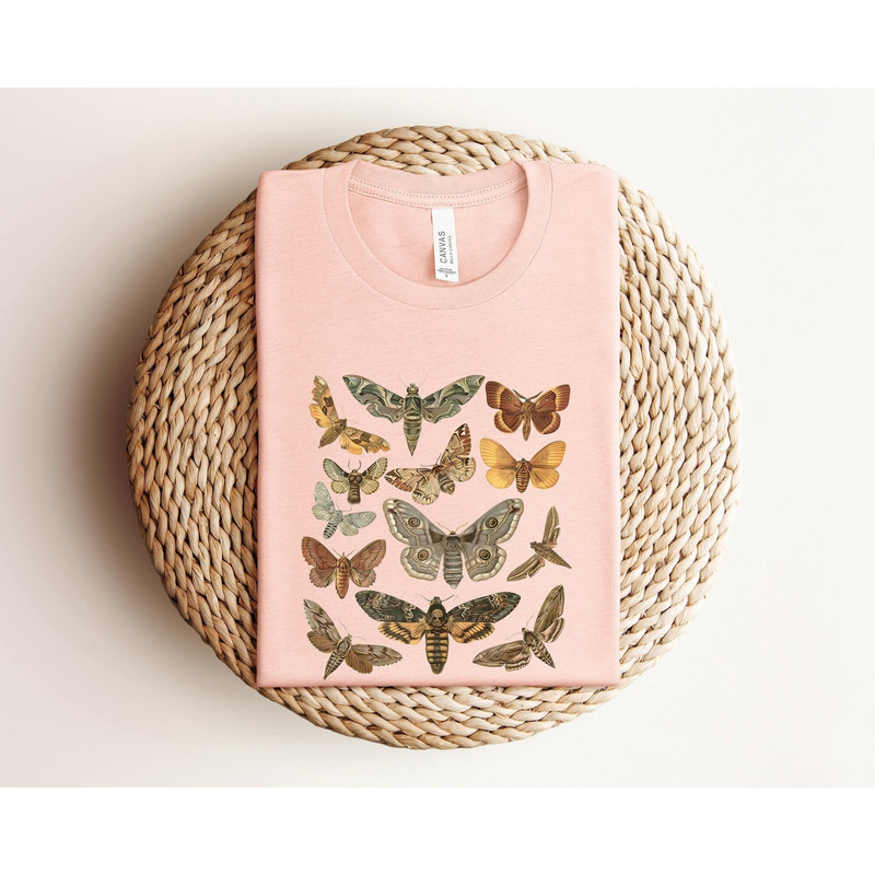 Aesthetic Bug Shirt, Moth Shirt, Light Academia Shirt, Insect Shirt, Cottage Core Shirt, Goblincore Clothing, Dark Academia Shirt, Butterfly.jpg