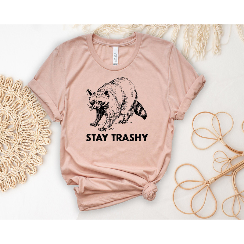 Funny Animal Shirt, Stay Trashy Raccoon T-Shirt, Unisex Graphic Tees,Funny Animal Tshirt,Raccoon Lover Tops,Raccoon Lover Gift,Birthday Gift.jpg