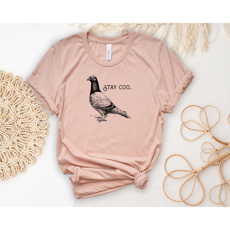 Stay Coo Shirt, Unisex Graphic T-Shirt, Funny Pidgeon Tees, Cute Bird Meme Saying Tshirt, Cool Bird Tops, Birthday Gift, Womens Clothing.jpg