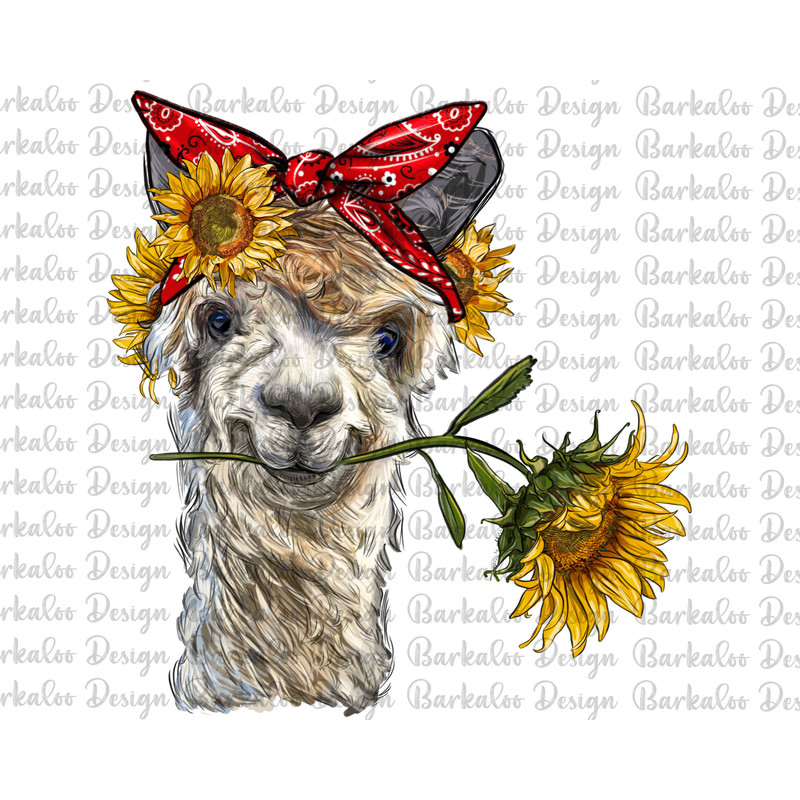 Alpaca With Sunflowers Png Sublimation Design, Alpaca Png, Alpaca Head Png, Hand Drawn Alpaca Png, Alpaca Portrait Png, Digital Download.jpg