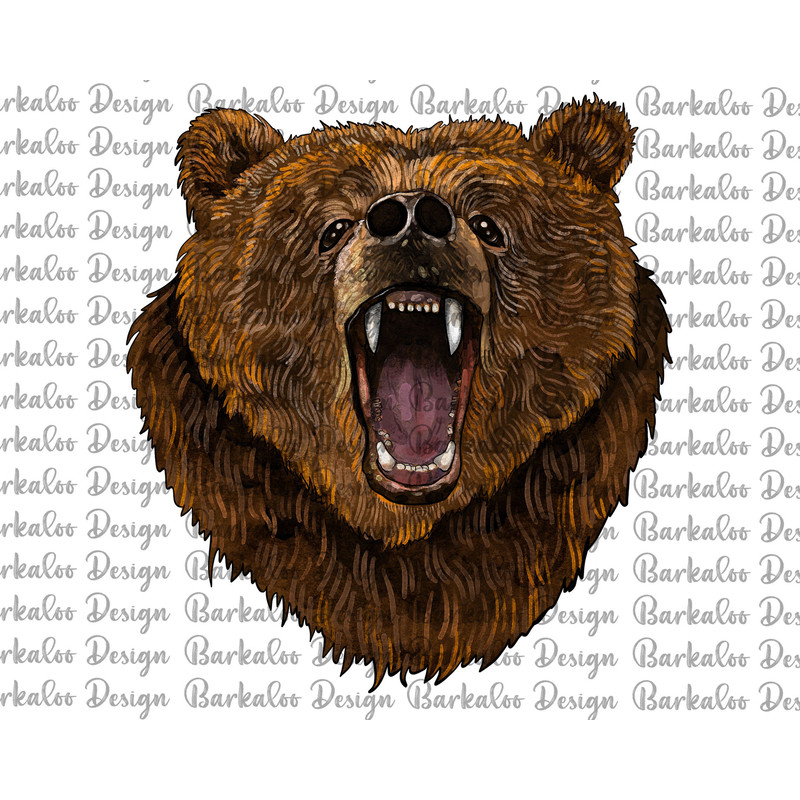 Bear Head Png Sublimation Design, Bear Portrait Png, Hand Drawn Bear Png, Bear Clipart, Animals Design Png, Animal Portrait Png Downloads.jpg