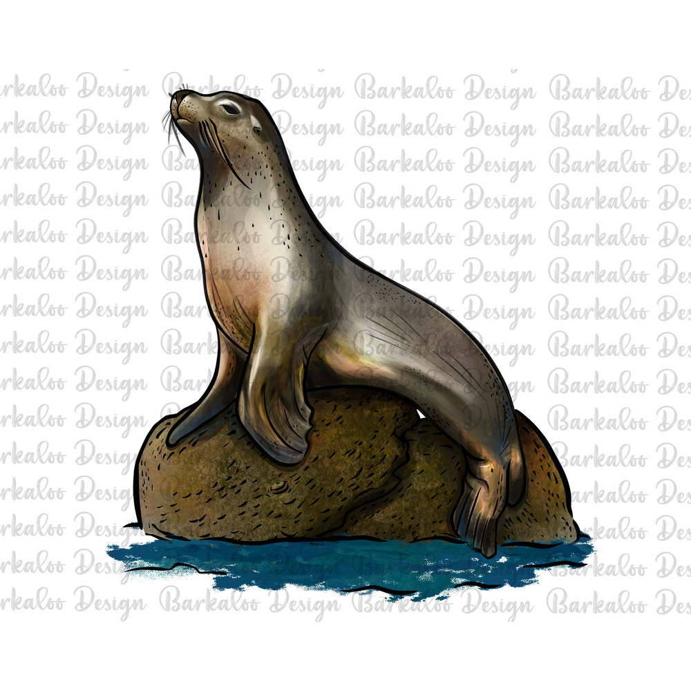 California Sea Lion Png Sublimation Design, Sea Lion Png, Hand Drawn Sea Lion Png, Sea Lion Portrait Png, Seal Png, Digital Download.jpg