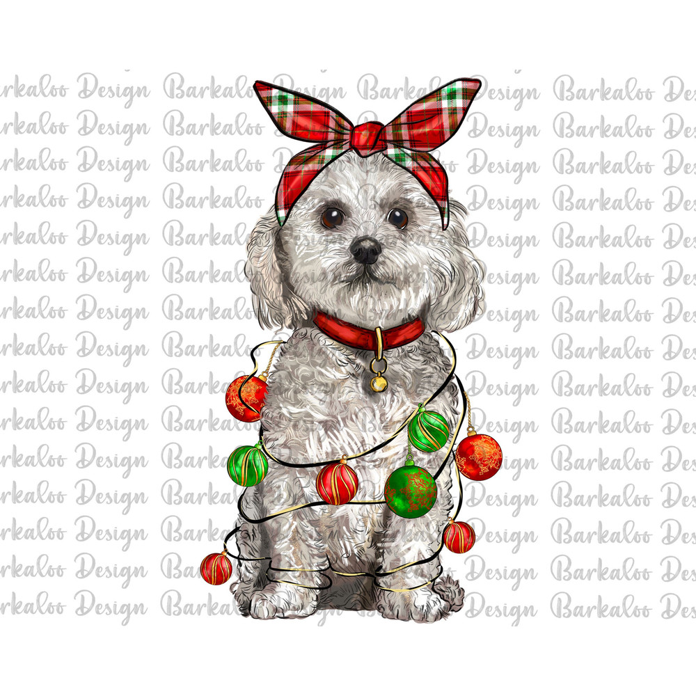 Christmas Bichon Frise Dog Png Sublimation Design, Merry Christmas Png, Christmas Animal Png, Bichon Frise Dog Png,Dog Png, Digital Download.jpg