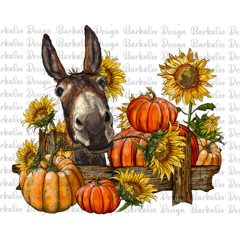 Donkey With Sunflowers And Pumpkin Png Sublimation Design, Donkey Png,Farm Animals Png, Farm Png,Farm Donkey Png,Animal Design Png Downloads.jpg