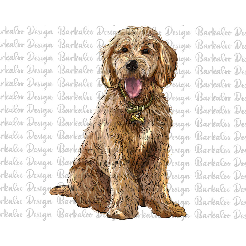 Goldendoodle Dog Png Sublimation Design, Hand Drawn Dog Png, Dog Portrait Png, Dog Clipart, Cute Dog Png, Dog Png Digital Downloads.jpg