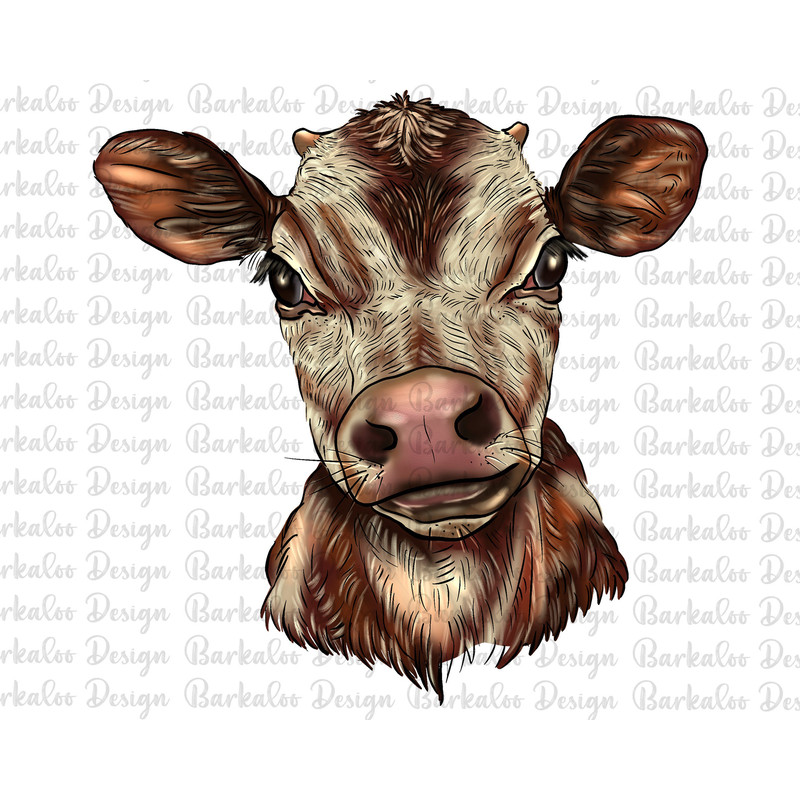 Hand Drawing Brown Heifer Calf PNG Sublimation Design, Calf Png, Heifer PNG, Farm Animals Png, Barnyard Animals Png, Digital Download.jpg