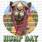 Happy Hump Day Camel Png Sublimation Design, Desert Hump Day Png, Desert Camel Png, Camel Hump Day Png, Camel Clipart, Digital Download.jpg