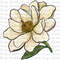 Magnolia Design Png, Hand Drawn Magnolia Png, Magnolia Clipart Png, Hand Drawn Floral Png, Magnolia Png Digital Downloads.jpg