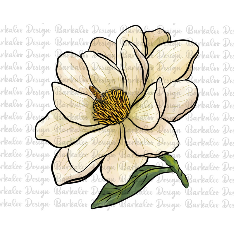 Magnolia Design Png, Hand Drawn Magnolia Png, Magnolia Clipart Png, Hand Drawn Floral Png, Magnolia Png Digital Downloads.jpg