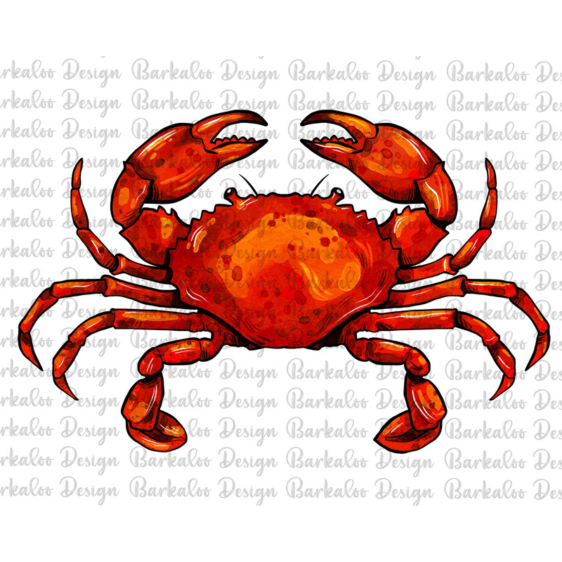 Red Crab Png Sublimation Design, Hand Drawn Crab Png, Crab Portrait Png, Crab Clipart, Sea Creatures Png, Beach Png, Animals Png Downloads.jpg