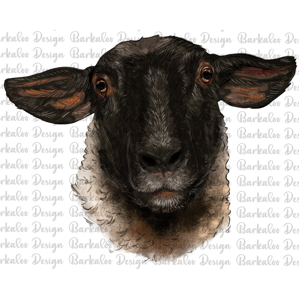 Suffolk Ewe Head Png Sublimation Design,Suffolk Png,Western Ewe Png,Hand Drawn Ewe Png,Ewe Portrait Png,Western Design Suffolk Png Downloads.jpg