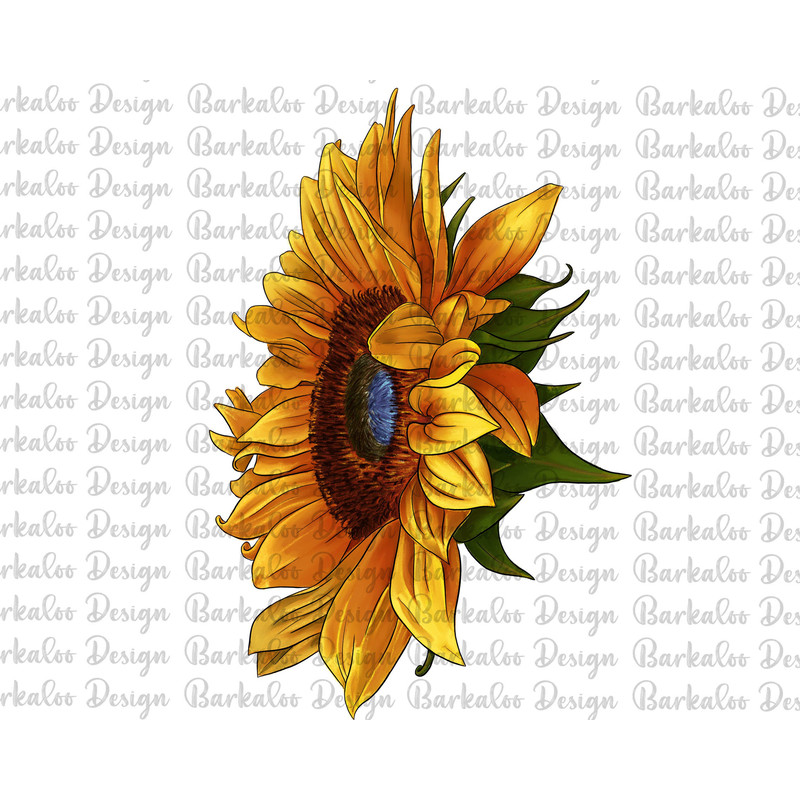 Sunflower Png Sublimation Design, Hand Drawn Sunflower Png, Western Sunflower Png, Sunflower Design Png, Sunflower Clipart, Digital Download 1.jpg