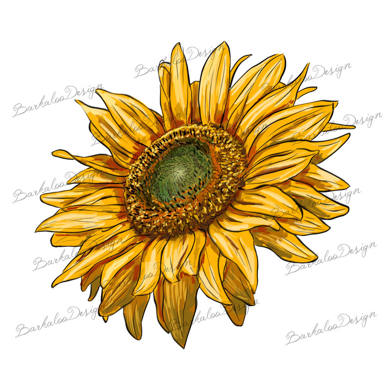Sunflower PNG Sublimation Design, Sunflower Png, Sunflower Clipart, Sunflower Sublimation, Sunflower, Western Sunflower Png,Digital Download.jpg