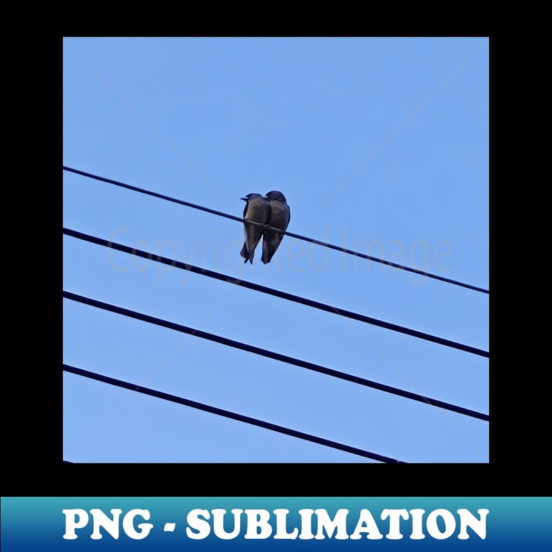 My dear bird - Signature Sublimation PNG File