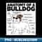 Anatomy of a Bulldog - Exclusive PNG Sublimation Download