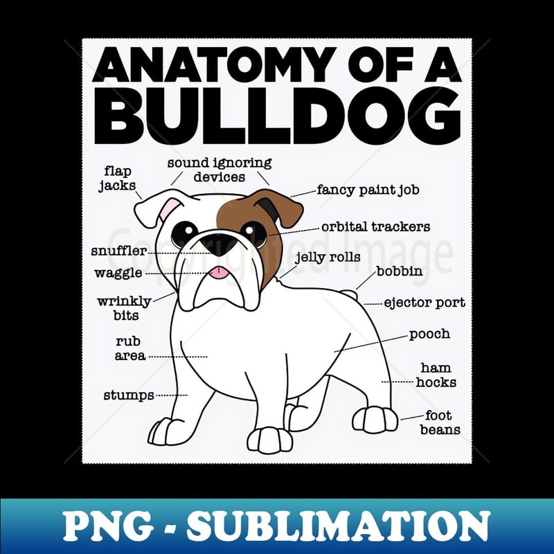 Anatomy of a Bulldog - Exclusive PNG Sublimation Download
