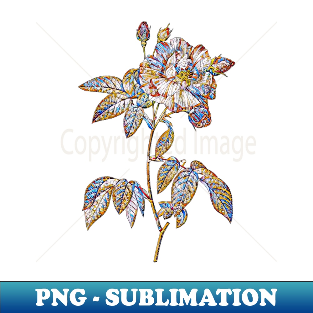 Stained Glass French Rosebush with Variegated Flowers Botanical Illustration - Exclusive PNG Sublimation Download