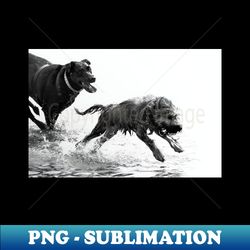 dog chase - trendy sublimation digital download