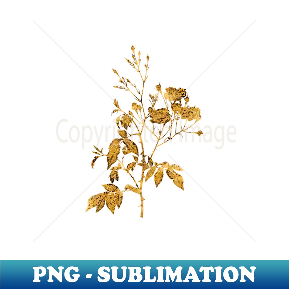 Vintage Gilded Pink Noisette Roses Botanical Gold Leaf - Digital Sublimation Download File