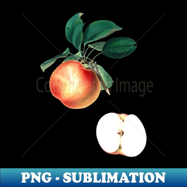 Vintage Botanical Illustration - Apple - Aesthetic Sublimation Digital File